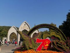 -上海佘山国家森林公园东门地面停车场