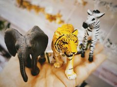 -永旺梦乐城国际商城(北清路店)