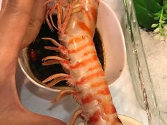 -鲜入围煮花胶鸡海鲜火锅