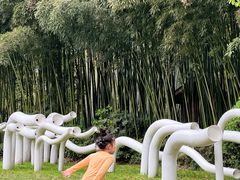 -苏州河梦清园环保主题公园