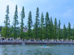 -翠湖公园