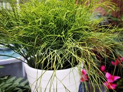 -北京植物园-展览温室