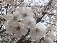 -无锡梅园公园