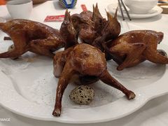 -渔意楼·驰名沙田乳鸽(五羊店)
