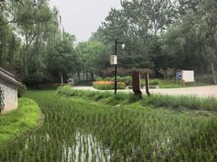 -北坞公园