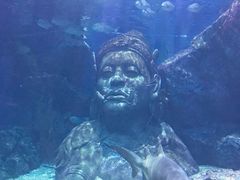 -暹罗海洋世界
