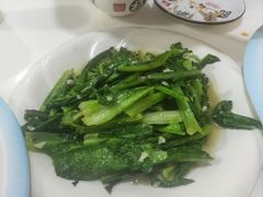 -煲来饱去冷水鱼