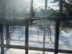 -横道河子东北虎林园