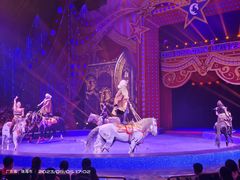 -珠海横琴长隆《卡卡虎奇遇记》