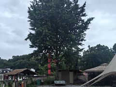 -黄牛肉馆·皖南土菜