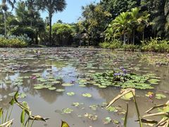 -中国科学院西双版纳热带植物园