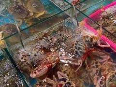 -羊栏农贸市场(羊新路店)