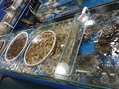 -睿柏云酒店-餐厅