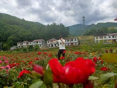 -镇坪县曙坪小学