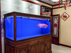 -海碗居老北京炸酱面(增光路店)