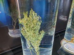 -广州神农草堂中医药博物馆