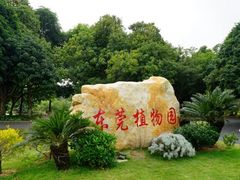 -东莞植物园