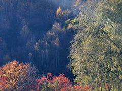-玉渡山自然风景区