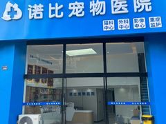 -诺比宠物医院心脏内科·泌尿肾内外科·骨科急重症