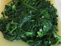 蒜泥菠菜-金怡酒店