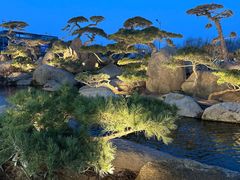 -罗红摄影艺术馆