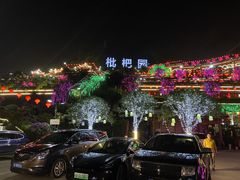 -枇杷园食为鲜火锅(南山店)