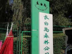 -长白岛森林公园