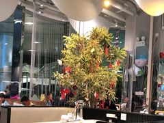大堂-渔语鱼酸菜鱼新川菜(来福士店)