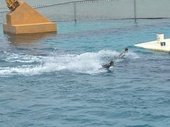 -秦皇岛乐岛海洋王国