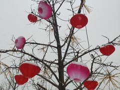 -北京奥林匹克公园