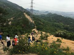 -灵岩山风景区