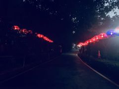 -石燕湖生态旅游景区