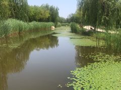 -武清南湖绿博园