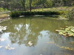 android_upload_pic-南京市江宁方山