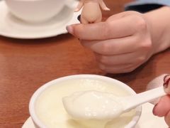 -正德顺順德雙皮奶(中信店)