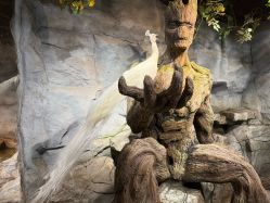 -Zoolung Zoolung动物主题公园(海信广场店)