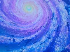 -海合安武汉极地海洋公园