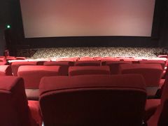 -龙之星国际影城(太平店)