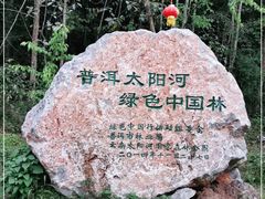 -普洱太阳河森林公园