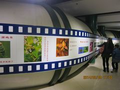 IMG_2791-上海昆虫博物馆