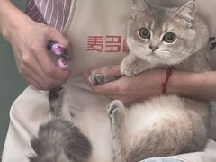 -四月宠物医院·猫专科·心脏专科·内科(转塘店)