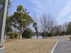-洋湖国家湿地公园