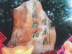 -天适樱花悠乐园