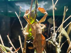 -上海海洋水族馆