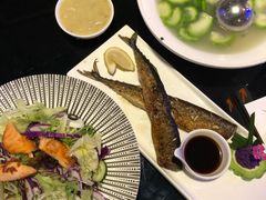 熟三文鱼蔬菜沙拉-法兰度航空主题餐厅(东汇城店)