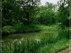 -西溪国家湿地公园