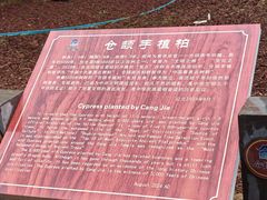 -仓颉庙