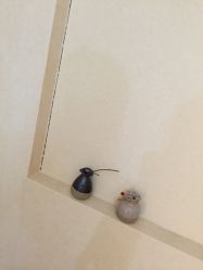 -日本直营PURE专业脱毛中心