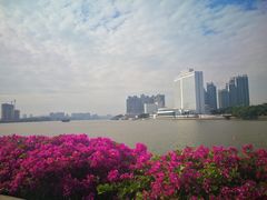-洲头咀公园