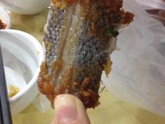 蛇-板桥海鲜广场(文明东店)